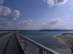 �ű����綶��[2009����] 6