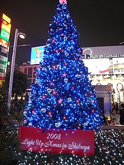 B'z　クリスマスツリー2008（渋谷駅　ハチ公広場） 6