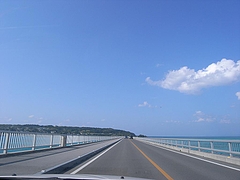�ű����綶��[2009����] 11