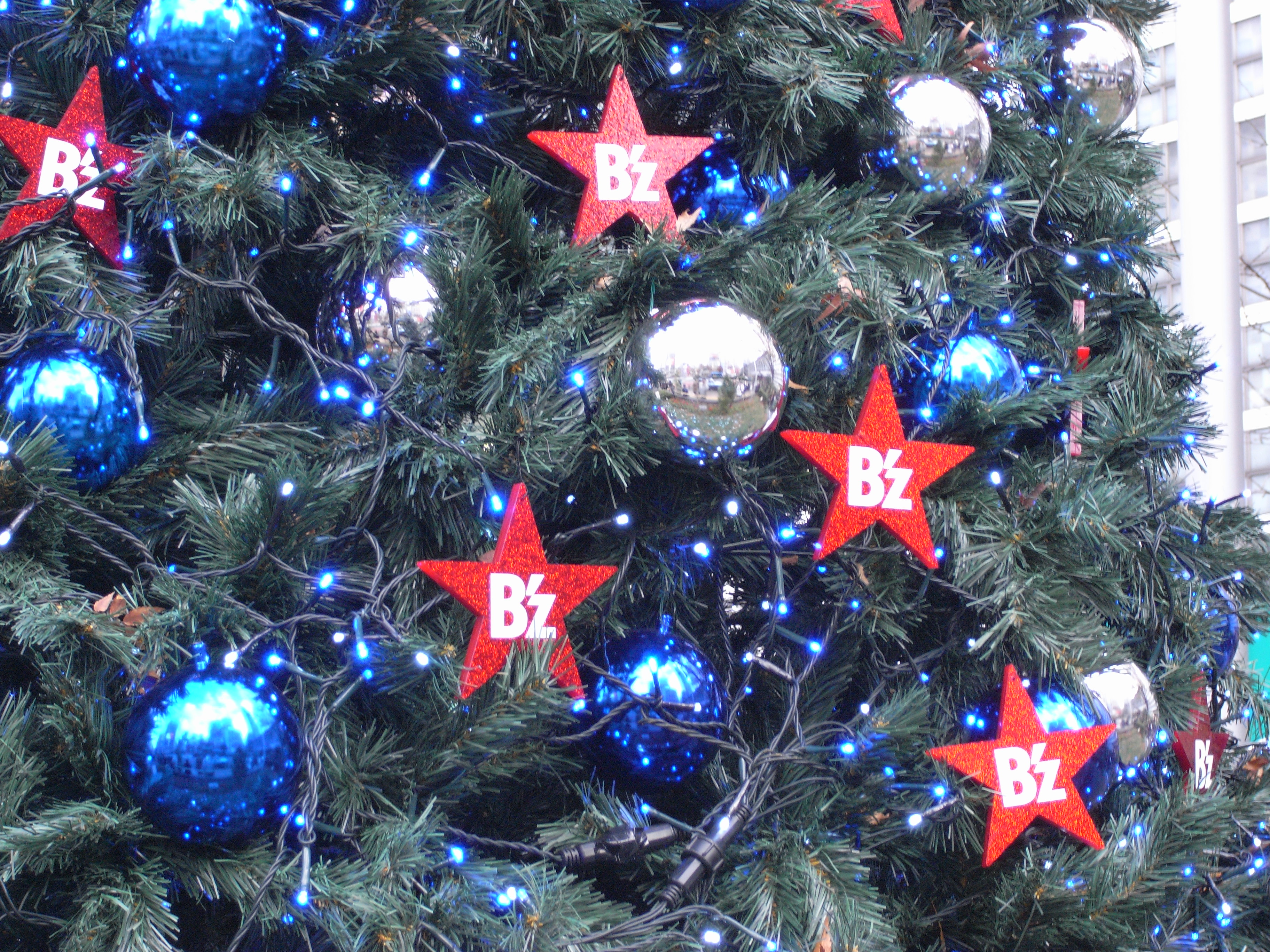 B Zクリスマスツリー 渋谷駅前ハチ公広場の模様 昼間編１ B Zファン178blog ライブドアブログ