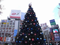 B'zꥹޥĥ꡼2008ʽëϥˡ  6
