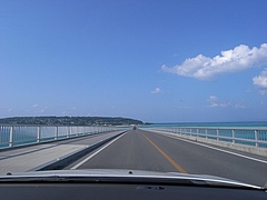 �ű����綶��[2009����] 14