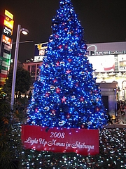 B'zꥹޥĥ꡼2008ʽëءϥ 10