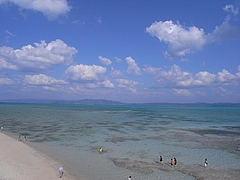�ű����綶��[2009����] 5