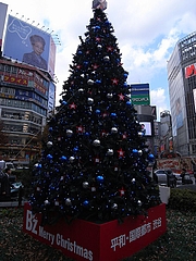 B'zꥹޥĥ꡼2008ʥϥˡ 8
