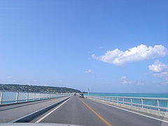 �ű����綶��[2009����] 12