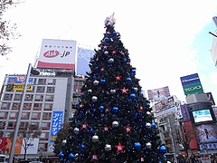B'zꥹޥĥ꡼2008ʽëϥˡ  8