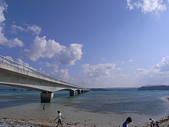 �ű����綶��[2009����] 8