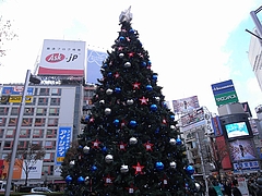 B'zꥹޥĥ꡼2008ʽëϥˡ  10