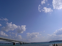 �ű����綶��[2009����] 9