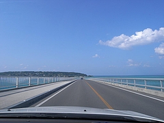 �ű����綶��[2009����] 15