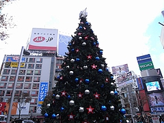 B'zꥹޥĥ꡼2008ʽëϥˡ  7