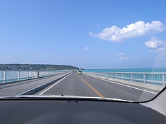 �ű����綶��[2009����] 13