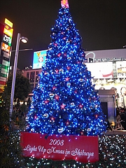 B'zꥹޥĥ꡼2008ʽëءϥ 7