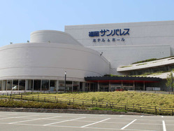 Y310333145