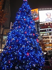 B'zꥹޥĥ꡼2008ʽëϥ 7