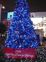 B'z　クリスマスツリー2008（渋谷駅　ハチ公広場） 5