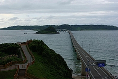 �����綶_B'z_DIVE_SUZUKI_SWIFT 8