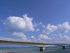 �ű����綶��[2009����] 10
