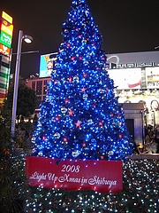 B'zꥹޥĥ꡼2008ʽëءϥ 8