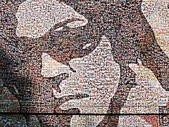 ��B'z LIVE-GYM 2008 "ACTION"�� �ĥ����ȥ�å�2  in ���ͥ��꡼��