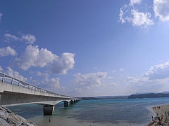 �ű����綶��[2009����] 7