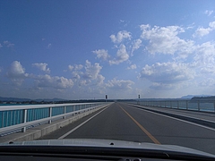 �ű����綶��[2009����] 1