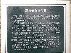 �ỳ���ࡡ�Ż�����