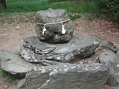 ����������