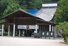 �彣��Ω��ʪ�� 2