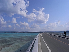 �ű����綶��[2009����] 4
