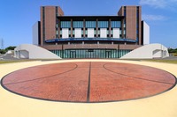okinawa-arena01
