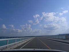 �ű����綶��[2009����] 2