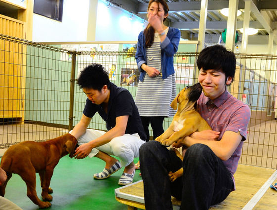 風 光 明 媚 土佐闘犬センター が とさいぬパーク に名称変更 子犬とふれあう企画ふやす 動物愛護の世論に配慮 Livedoor Blog ブログ