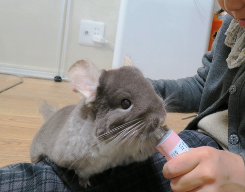 mimi