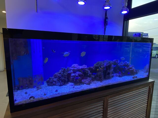 水槽が綺麗になりました センチュリー21大分ベスト不動産 Topics