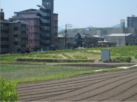 賀来売農業地1