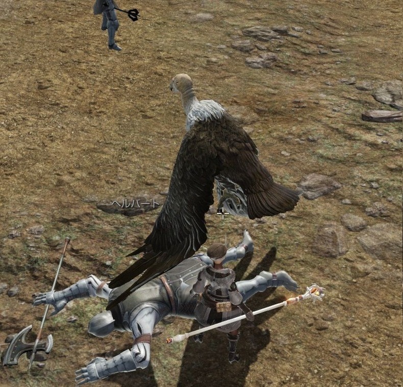 PvP