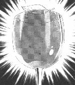 念能力と気功法