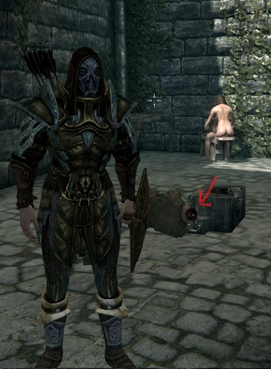 Skyrim MMO