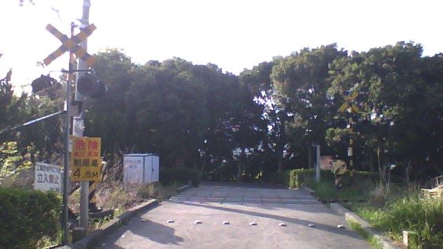 伊場遺跡 探索 散策日記 伊場遺跡 探索 散策日記