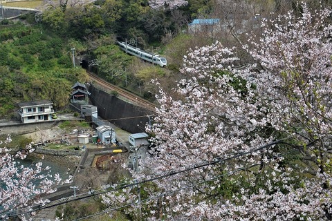 DFA_0733 20230325 加茂郷~冷水浦 2057M