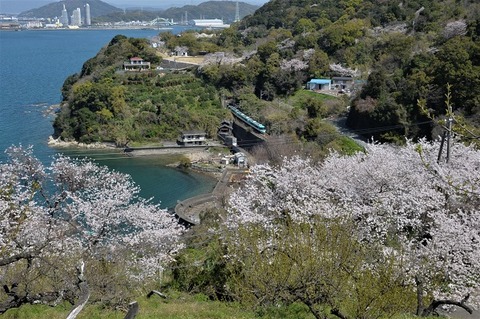 DFA_0766 20230328 加茂郷~冷水浦 66M