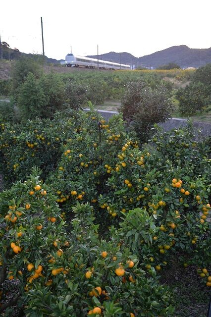 NDF_6033 20221023 紀伊由良~広川B 2078M