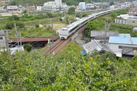NDF_1353