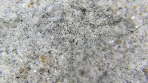 YAMA5296