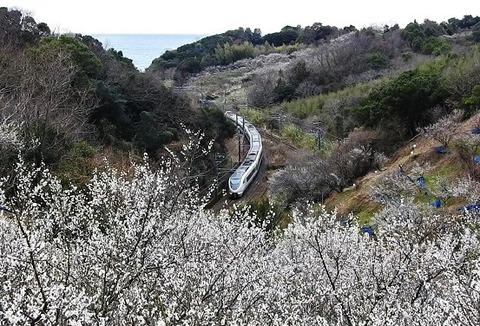 DSCN4468_20230219 南部～岩代 2074M