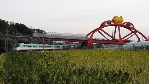 DSCN3414 20220218c 印南 2082M
