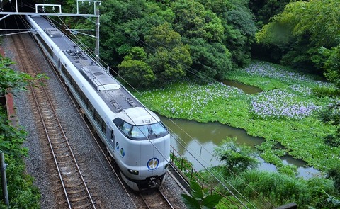 DFB_3980 20240629 芳養~南部 66M