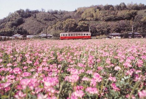 NT0261 北山 モハ31